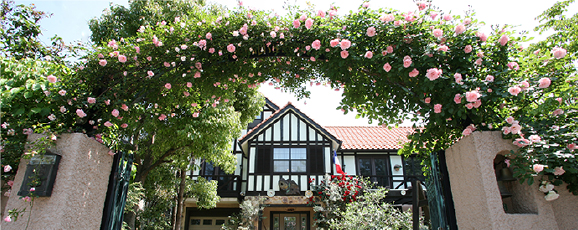 薔薇館にある薔薇 岐阜にある600株の薔薇に囲まれたレストラン カフェ 薔薇舘